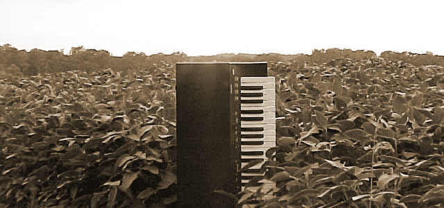 Piano in Field